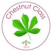Chestnut Bus stop